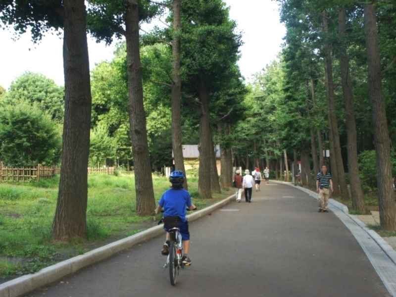 世田谷梅祭りの会場となる羽根木公園。およそ650本の梅の木が植わっている